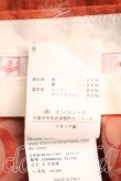 画像4: クリニキュールスカート ヴィヴィアンウエストウッド 中古   H-23-08-27-077-sk-IN-ZH (4)