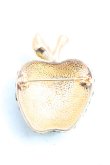 画像2: ヴィヴィアンウエストウッド 中古 / アップルブローチ  ゴールド  H-25-05-04-042-ac-IN-ZH (2)
