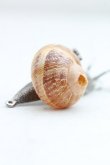 画像2: 【Vintageオークション】ヴィヴィアンウエストウッド 中古 / スネイルネックレス  シルバー  H-25-06-28-009-nl-OD-ZH (2)