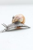 画像3: 【Vintageオークション】ヴィヴィアンウエストウッド 中古 / スネイルネックレス  シルバー  H-25-06-28-009-nl-OD-ZH (3)