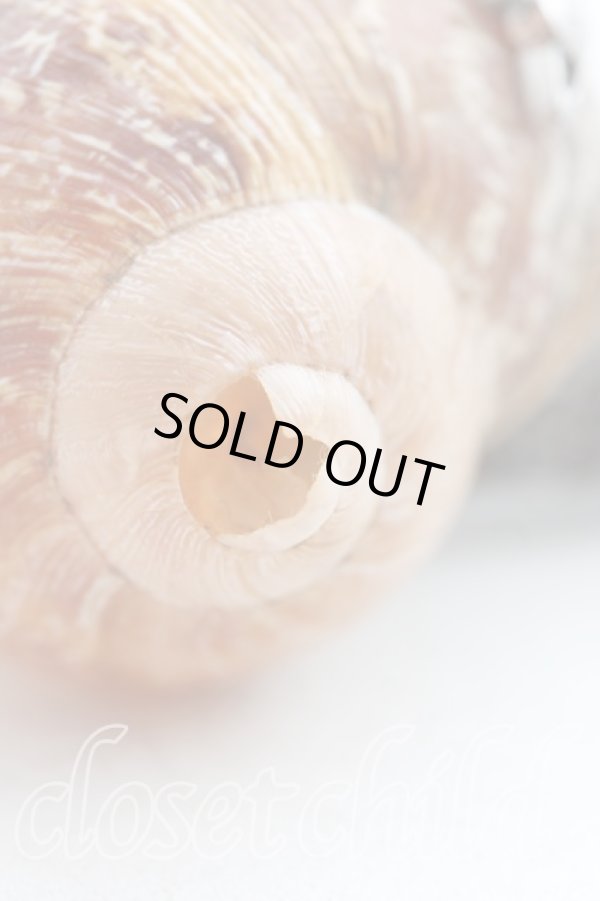 画像6: 【Vintageオークション】ヴィヴィアンウエストウッド 中古 / スネイルネックレス  シルバー  H-25-06-28-009-nl-OD-ZH (6)