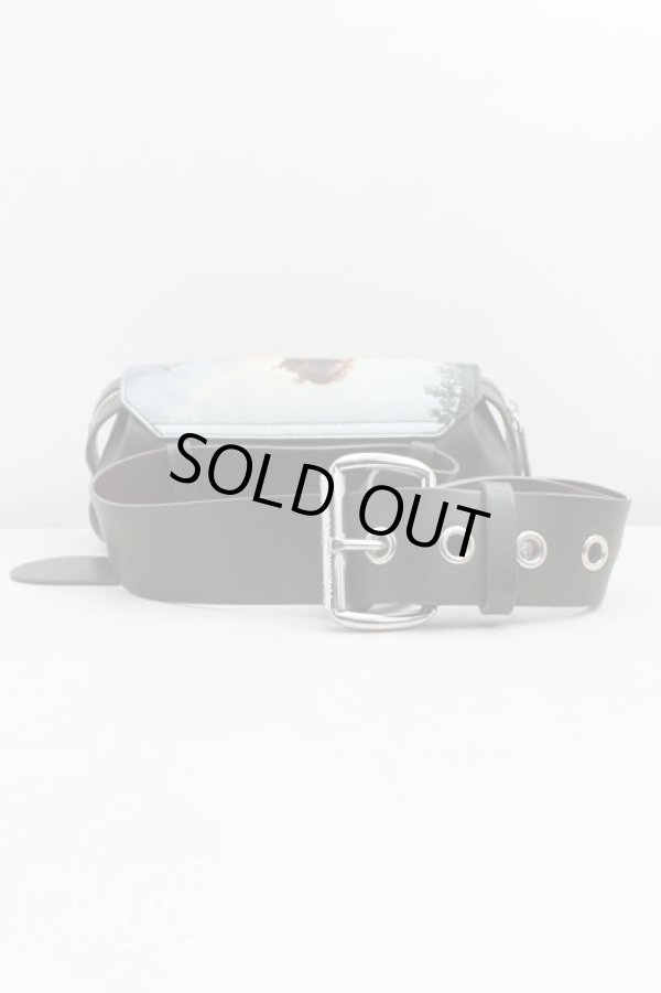 画像2: ヴィヴィアンウエストウッド 中古 / EPHERDESS ミニクロスボディバッグ  緑×マルチ  H-25-08-03-109-ba-IN-ZH (2)