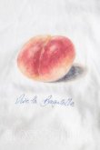 画像7: ヴィヴィアンウエストウッド 中古 / 桃柄Tシャツ M 白  H-25-11-30-024-ts-OD-ZH (7)
