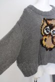 画像3: ヴィヴィアンウエストウッド 中古 / OWLモチーフ　プルオーバーニット 00 グレー  O-24-03-10-010-to-IG-OS (3)