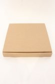 画像6: ヴィヴィアンウエストウッド 中古 / HARLEQUIN プレート 19cm  -  O-26-05-10-057-gd-IG-OS (6)