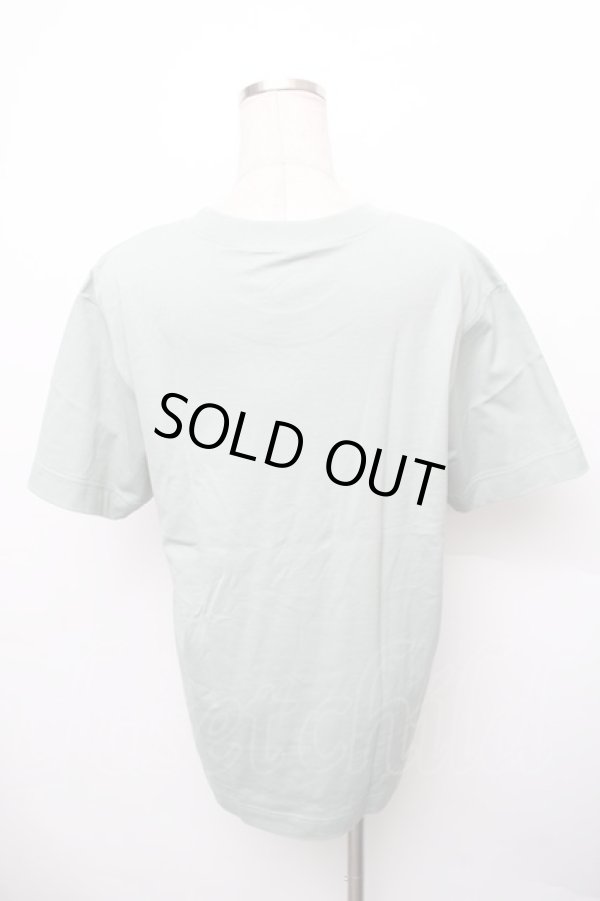 画像2: ヴィヴィアンウエストウッド MAN 中古 / REDOUTE ROSE リラックスTシャツ 44 グリーン  S-26-01-25-050-ts-AS-ZS (2)