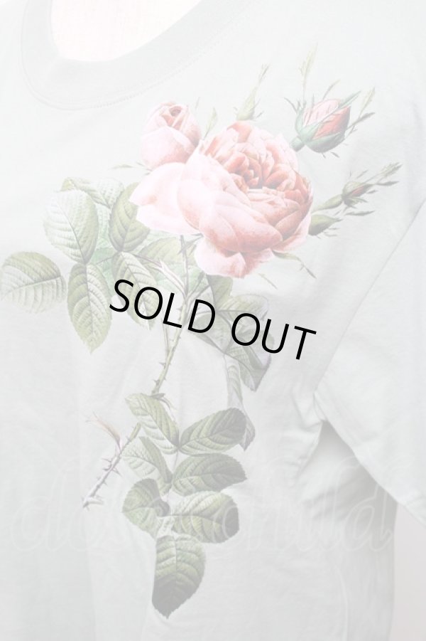 画像3: ヴィヴィアンウエストウッド MAN 中古 / REDOUTE ROSE リラックスTシャツ 44 グリーン  S-26-01-25-050-ts-AS-ZS (3)