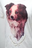 画像3: ヴィヴィアンウエストウッド 中古 / DOGプリントTシャツ  白  S-26-03-08-008-to-AS-ZS (3)