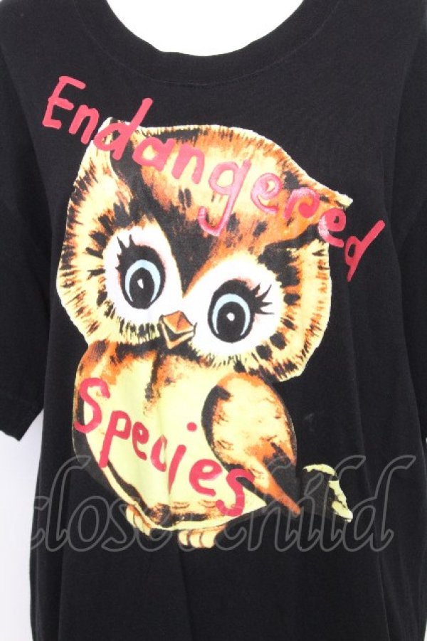 画像3: ヴィヴィアンウエストウッド MAN 中古 / ENDANGERED SPECIES OWL　Tシャツ 48 黒  S-26-10-04-013-to-AS-ZS (3)