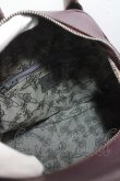 画像3: ヴィヴィアンウエストウッド 中古 / argyle yasmin bag    Y-25-04-30-013-ba-SZ-ZY (3)